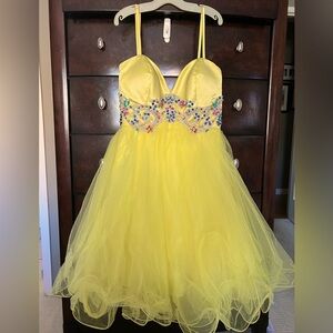 NWT beautiful Dave & Johnny special occasion dress.  Size 2